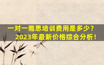 一对一雅思培训费用是多少？ 2023年最新价格综合分析！